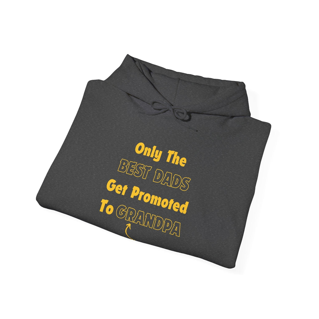 Best Dads Get Promoted To Grandpa Personalized Hoodie